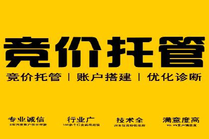 新闻资讯类平台的信息流广告投放策略案例